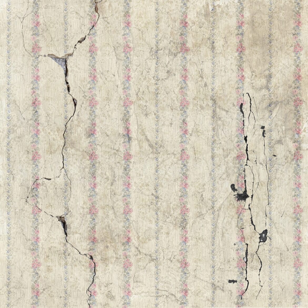 wall